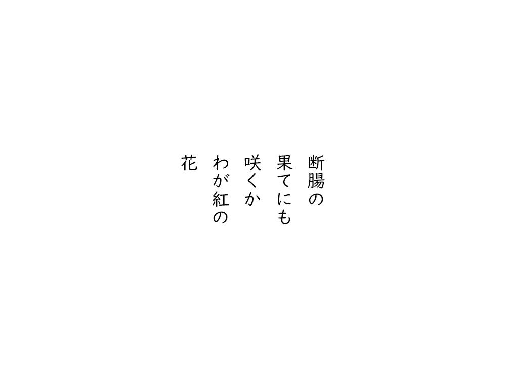 岩崎航の五行詩のテキスト画像。断腸の、果てにも、咲くか、わが紅の、花。
