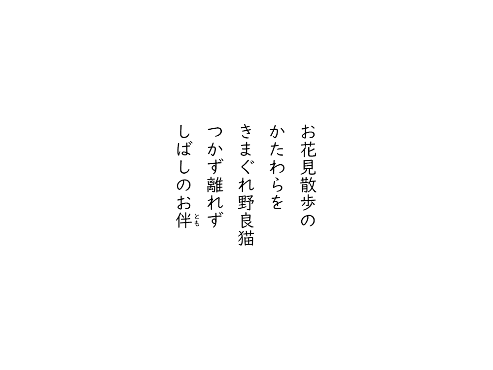 岩崎航の五行詩のテキスト画像。お花見散歩の、かたわらを、きまぐれ野良猫、つかず離れず、しばしのおとも。