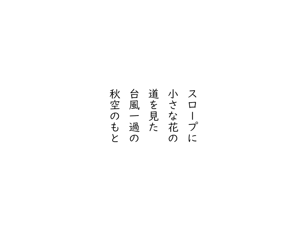 岩崎航の五行詩のテキスト画像。スロープに、小さな花の、道を見た、台風一過の、秋空のもと。