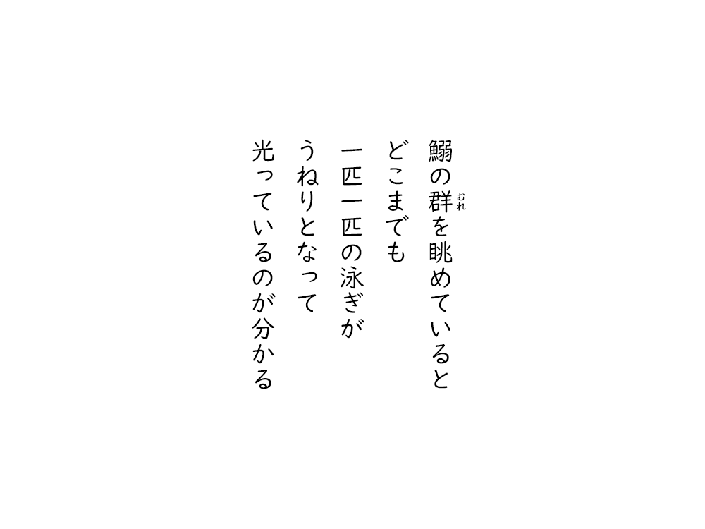 岩崎航の五行詩のテキスト画像。鰯のむれを眺めていると、どこまでも、一匹一匹の泳ぎが、うねりとなって、光っているのが分かる。