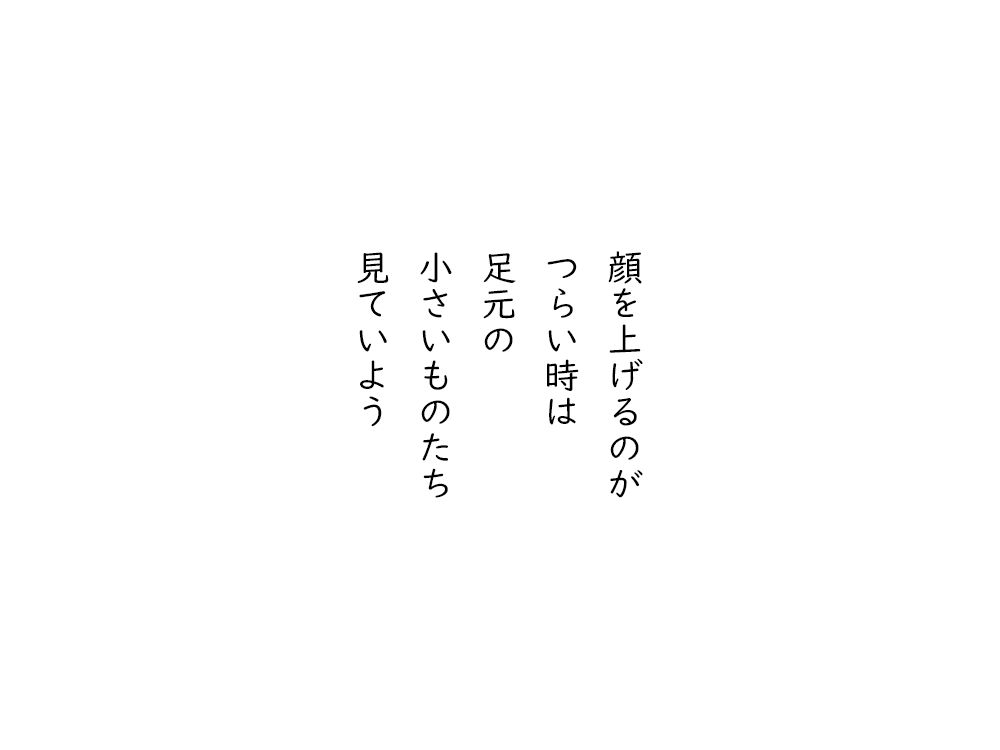 岩崎航の五行詩のテキスト画像。顔を上げるのが、つらい時は、足元の、小さいものたち、見ていよう。